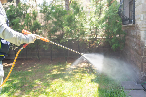 Best Pest Removal Services  in Pima, AZ